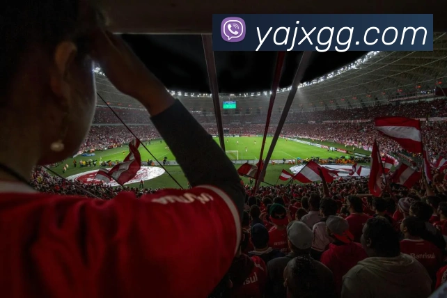 乐鱼APP 高清赛事图